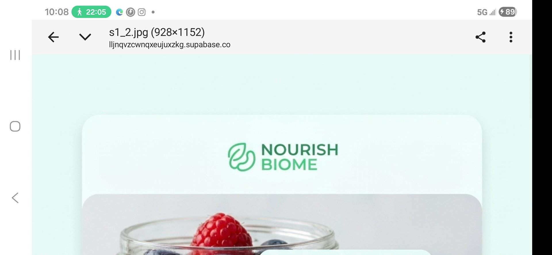 Nourish Biome logo