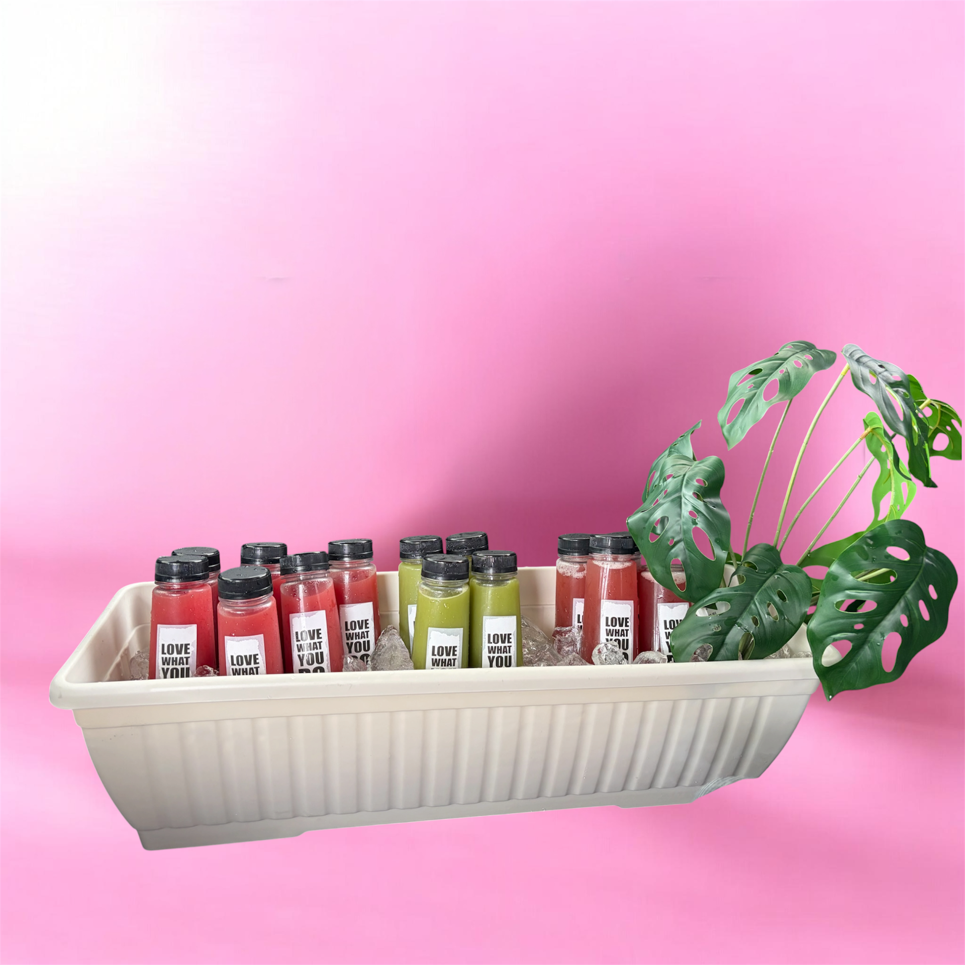 Fresh Tanj juice collection